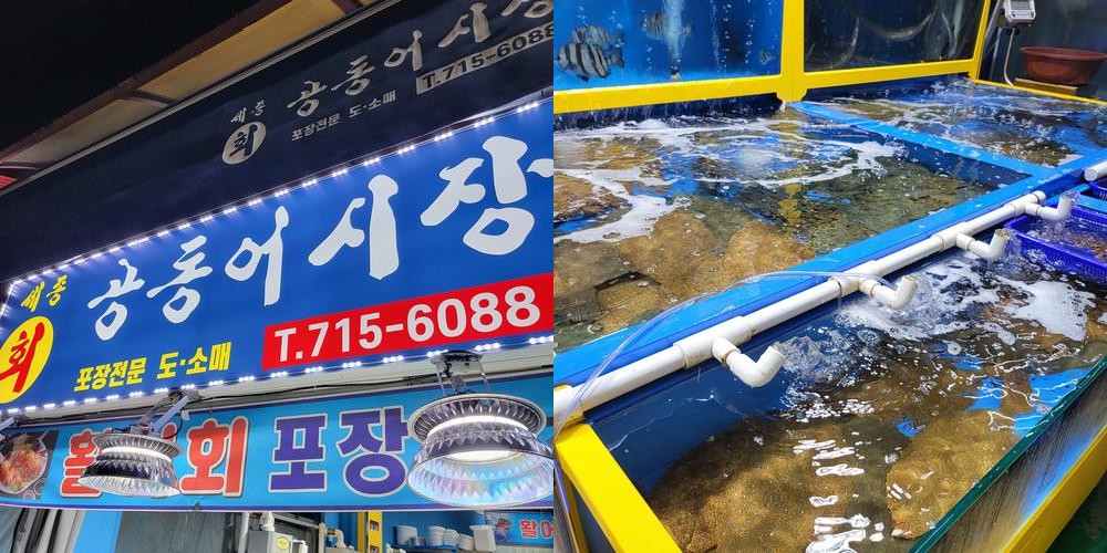 세종공동어시장: 신선한 해산물의 천국|어시장 맛집 추천 세종공동어시장: 신선한 해산물의 천국