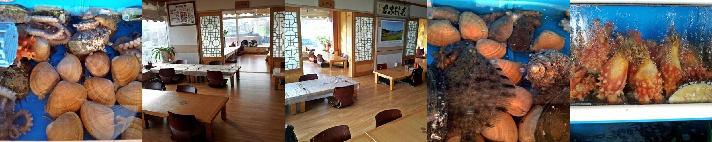 광안리 횟집 추천 베스트 리스트 TOP 10 광안리 횟집 추천 베스트 리스트 TOP 10