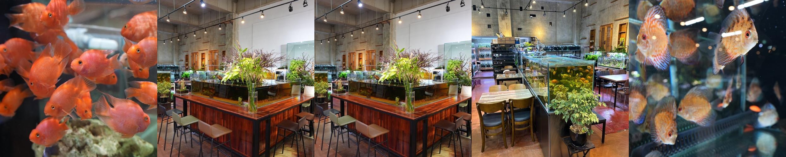 평화광장 맛집 베스트 추천 리스트 TOP 10