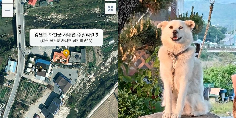 화천군 맛집 베스트 추천 리스트 TOP 10