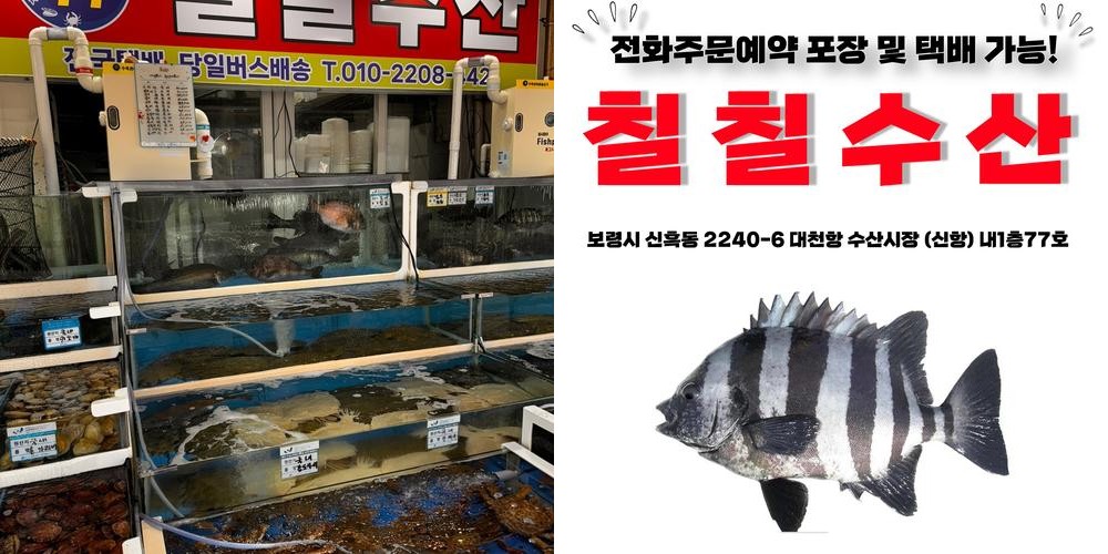 대천항 횟집 베스트 추천 리스트 TOP 10 대천항 횟집 베스트 추천 리스트 TOP 10