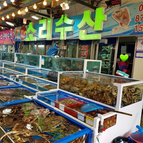 대천항 횟집 베스트 추천 리스트 TOP 10 대천항 횟집 베스트 추천 리스트 TOP 10