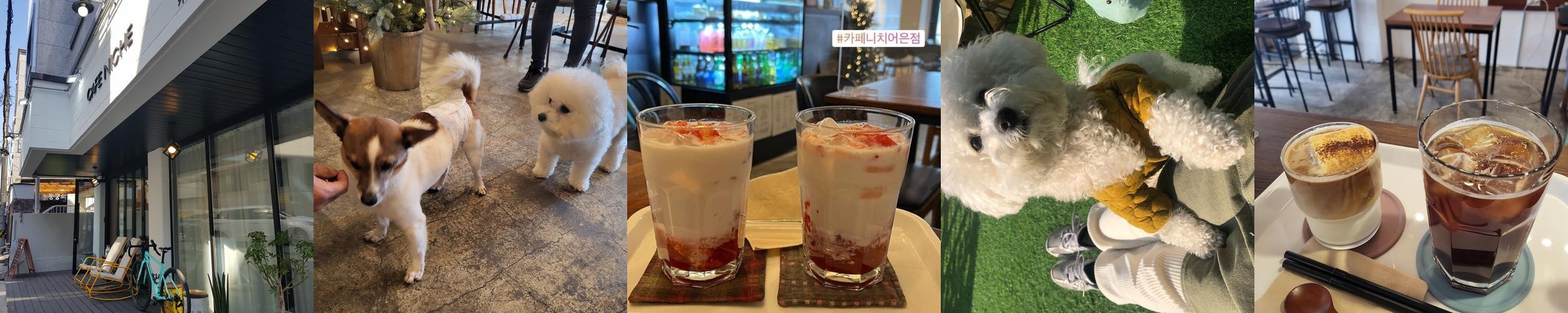 대전 어은동 맛집 베스트 추천 리스트 TOP 10 대전 어은동 맛집 베스트 추천 리스트 TOP 10