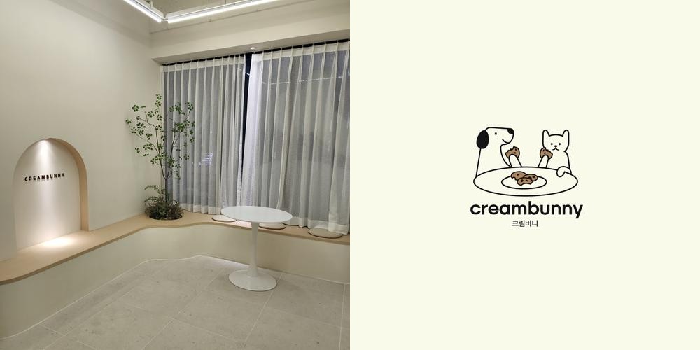 울산 신상카페 베스트 추천 리스트 TOP 10