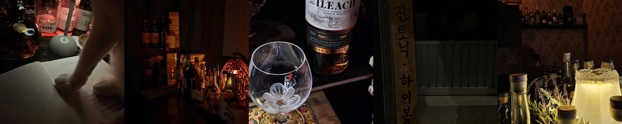 대구 신천동 맛집 베스트 추천 리스트 TOP 10 대구 신천동 맛집 베스트 추천 리스트 TOP 10