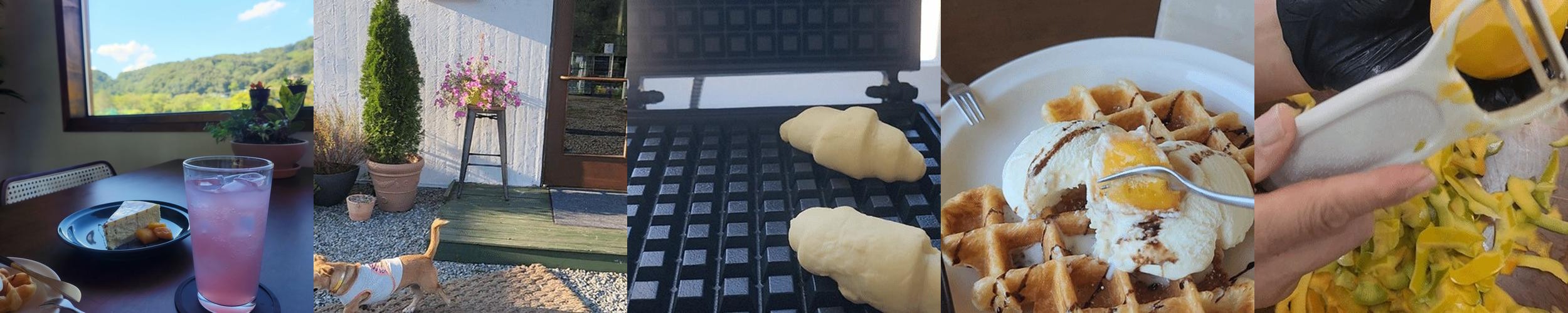 계룡산 카페 베스트 추천 리스트 TOP 10