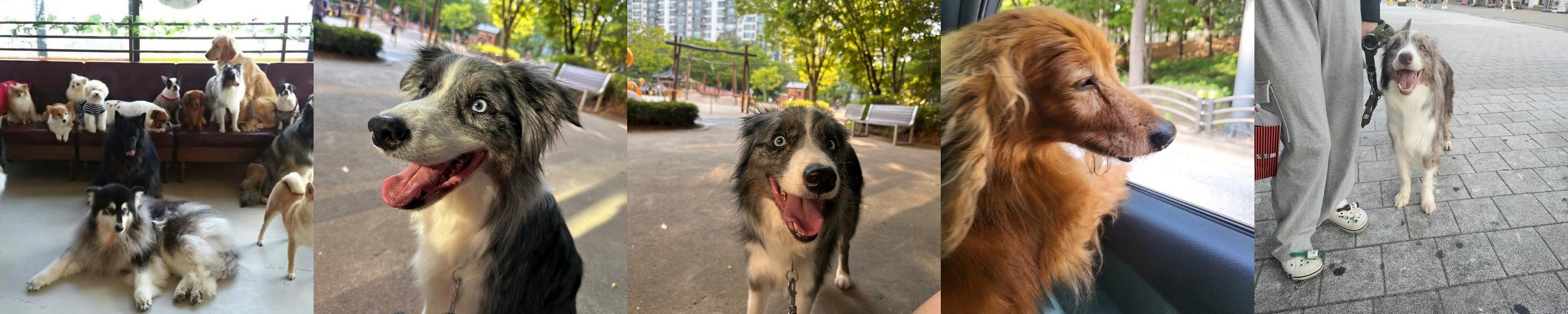 화성 대형카페 베스트 추천 리스트 TOP 10 화성 대형카페 베스트 추천 리스트 TOP 10