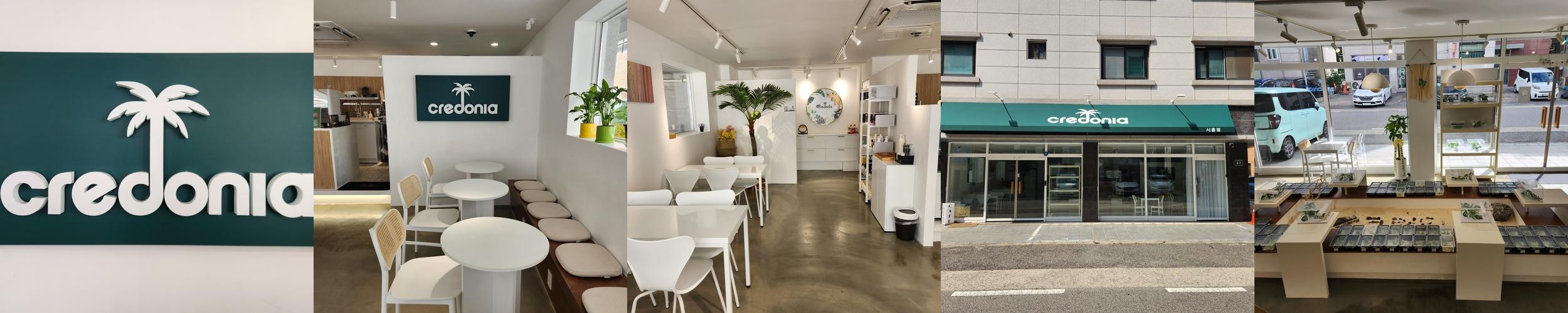 화정동 카페 베스트 추천 리스트 TOP 10