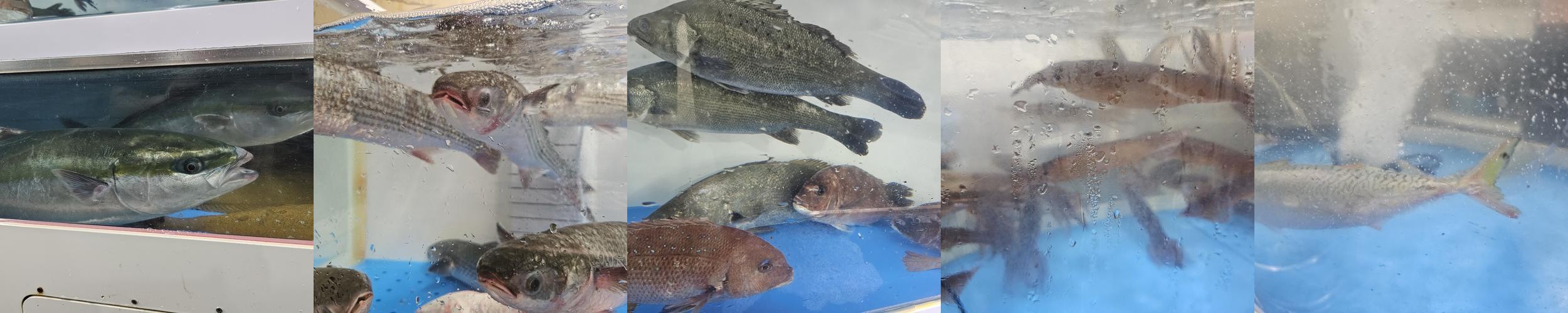 수원 횟집 베스트 추천 리스트 TOP 10