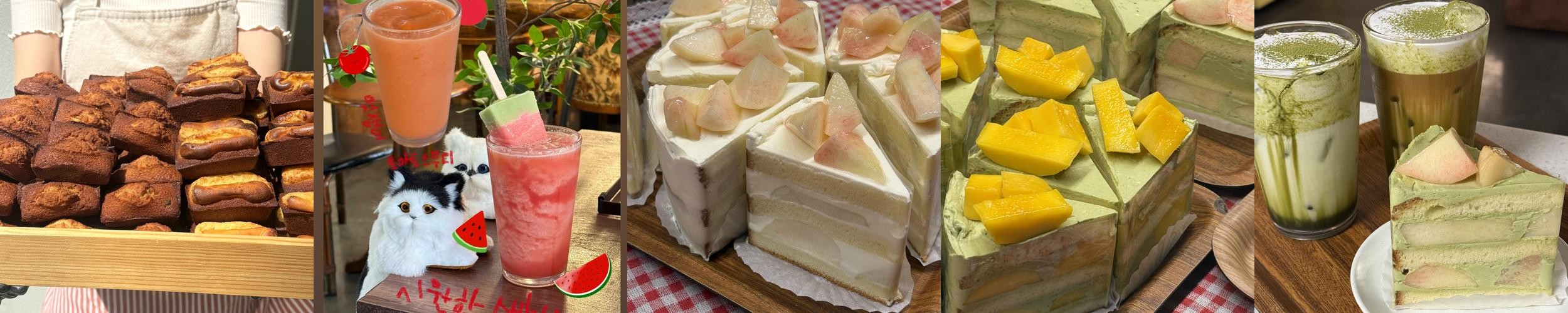 부산 용호동 카페 베스트 추천 리스트 TOP 10 부산 용호동 카페 베스트 추천 리스트 TOP 10