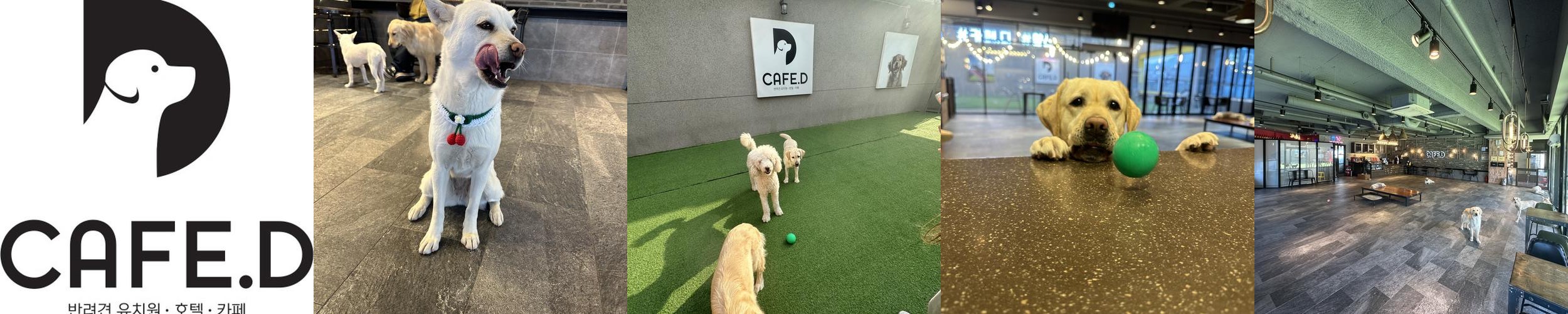 양산 대형카페 베스트 추천 리스트 TOP 10 양산 대형카페 베스트 추천 리스트 TOP 10