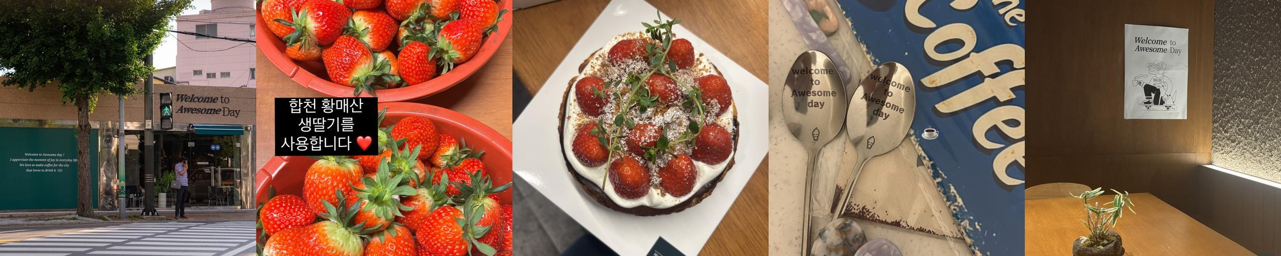 진주 자유시장 맛집 베스트 추천 리스트 TOP 10 진주 자유시장 맛집 베스트 추천 리스트 TOP 10