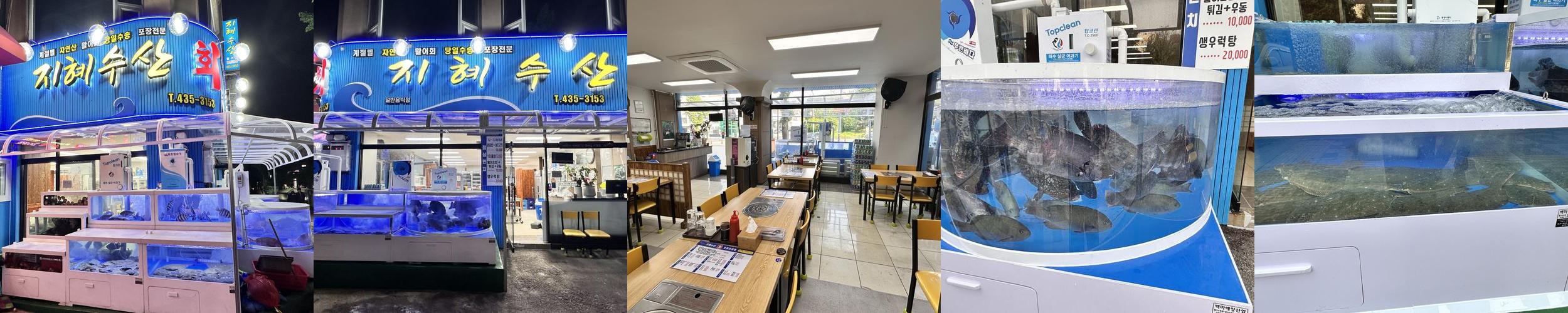 오징어 물회 맛집 베스트 추천 리스트 TOP 10