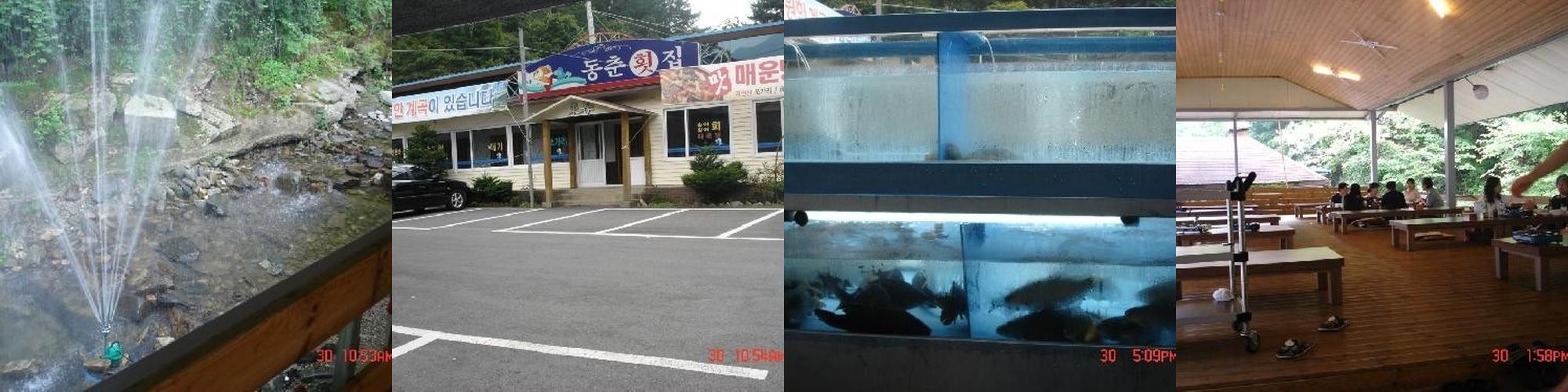 춘천 횟집 추천 베스트 리스트 TOP 10 춘천 횟집 추천 베스트 리스트 TOP 10