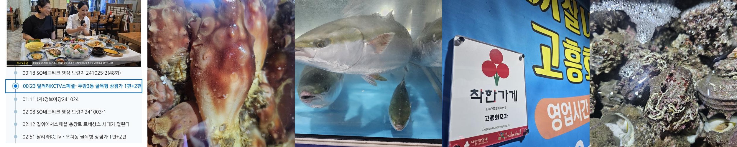 두암동 맛집 베스트 추천 리스트 TOP 10 두암동 맛집 베스트 추천 리스트 TOP 10