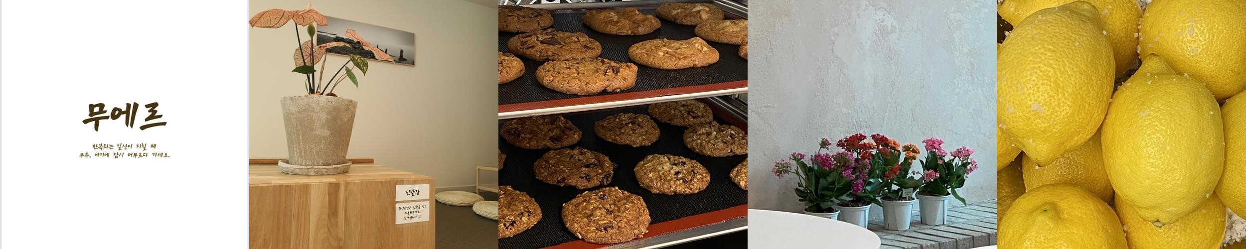 무주 카페 베스트 추천 리스트 TOP 10