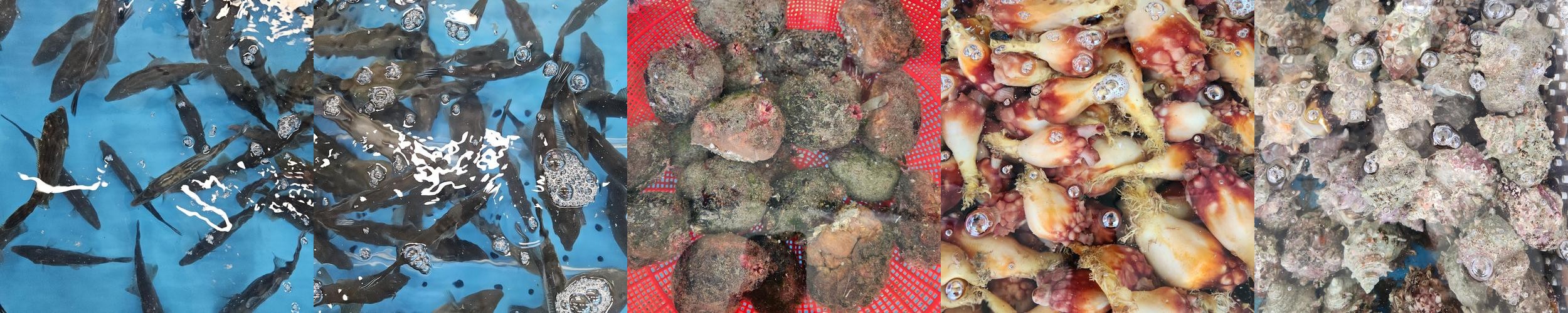 봉선동 횟집 베스트 추천 리스트 TOP 10