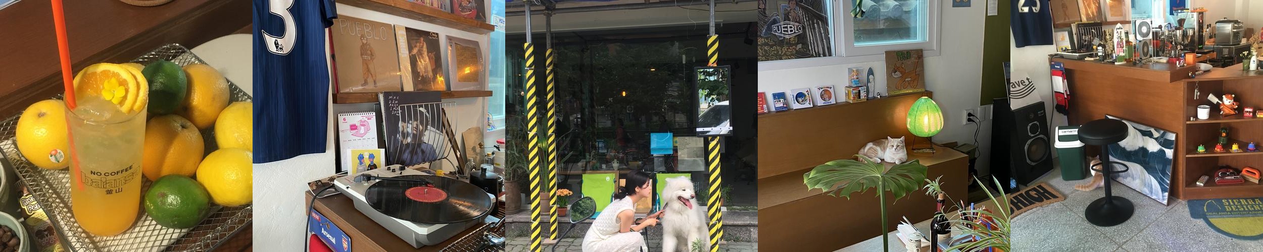 보문 맛집 베스트 추천 리스트 TOP 10