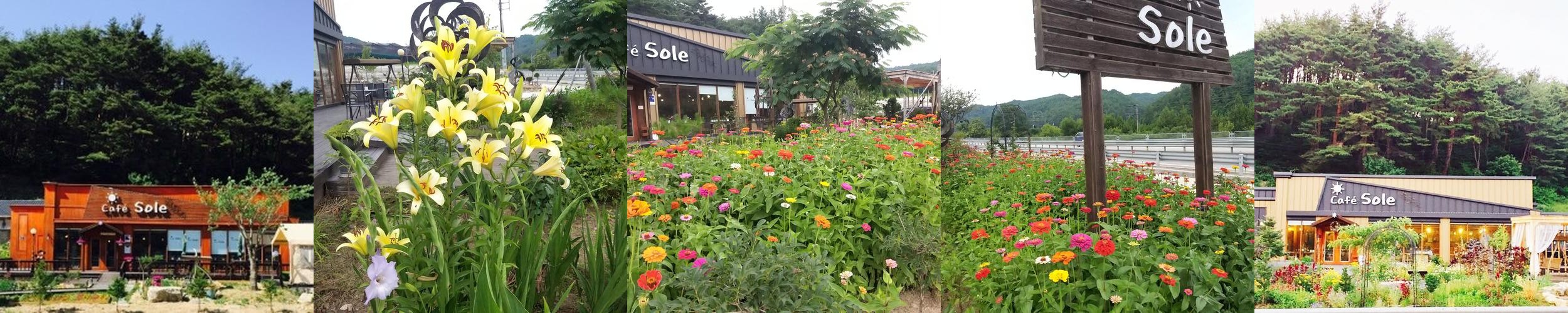 봉화 맛집 베스트 추천 리스트 TOP 10