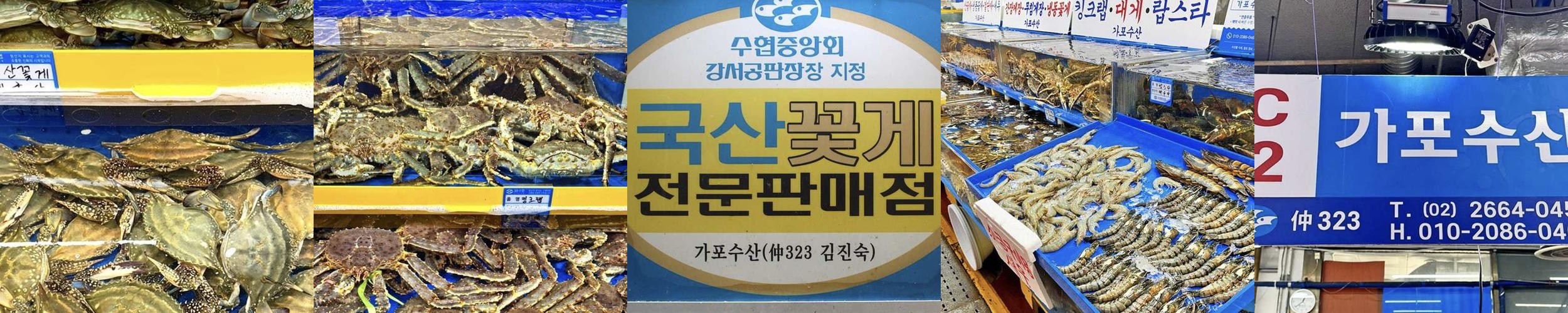 마곡역 횟집 베스트 추천 리스트 TOP 9