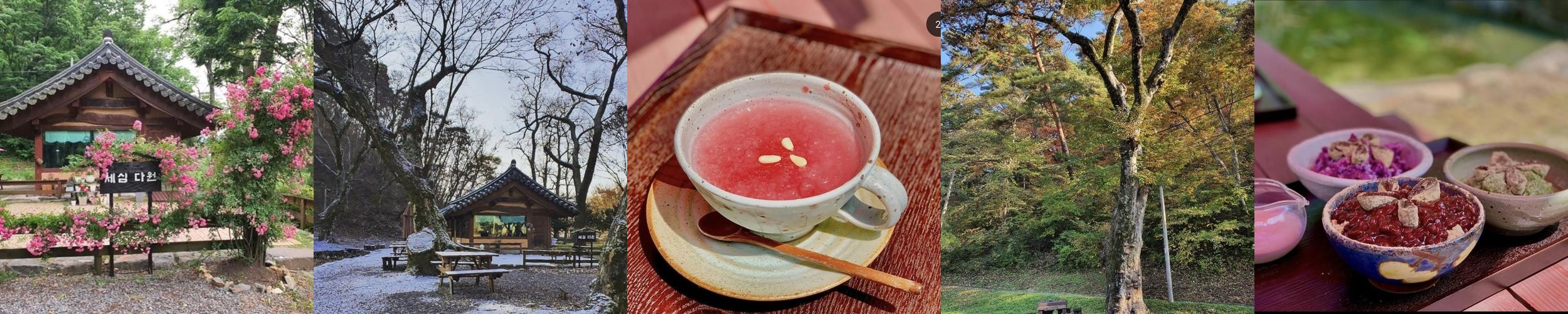 영월 맛집 추천 베스트 리스트 TOP 10