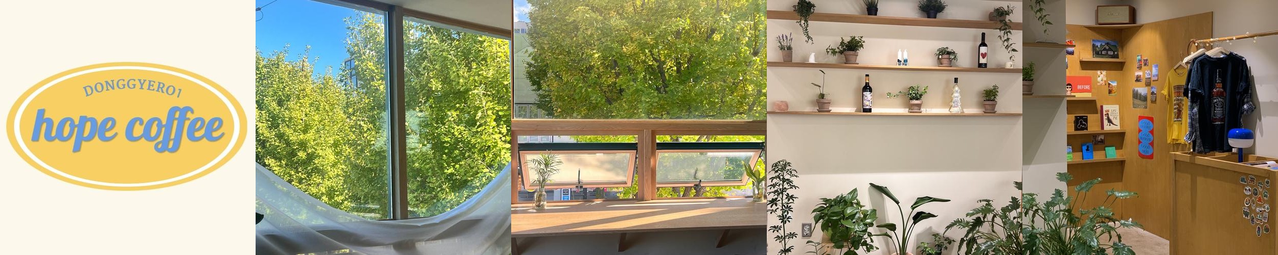 광주 동명동 카페 베스트 추천 리스트 TOP 10