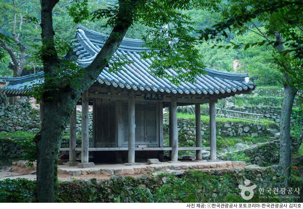 담양 여행 필수 코스 소쇄원 단풍 & 제월당｜애견동반 가능 여부, 방문 시간, 날씨 체크, 입장료 정보