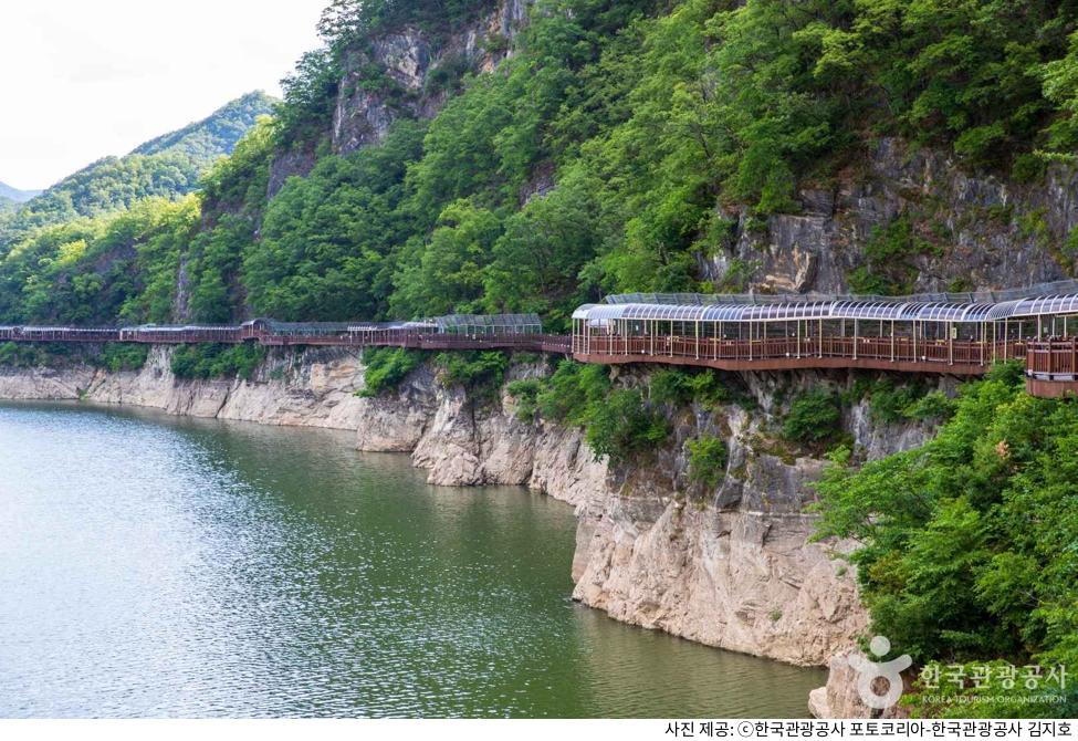 단양강 잔도길 주차장 위치부터 단풍 절정 시간·야간 개방 정보·애견동반 가능 코스 및 입장료