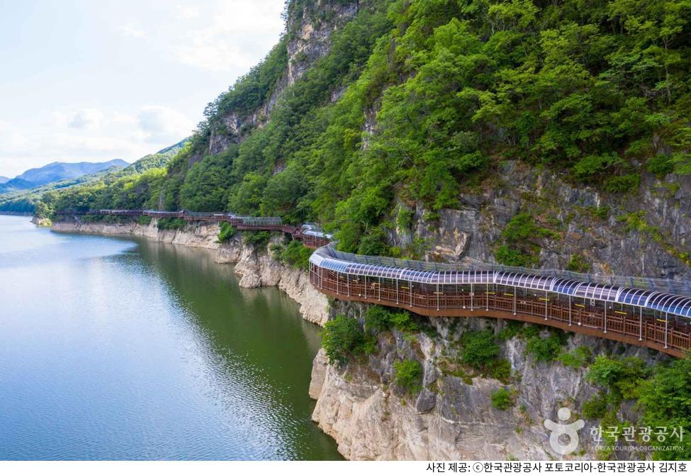 단양강 잔도길 주차장 위치부터 단풍 절정 시간·야간 개방 정보·애견동반 가능 코스 및 입장료