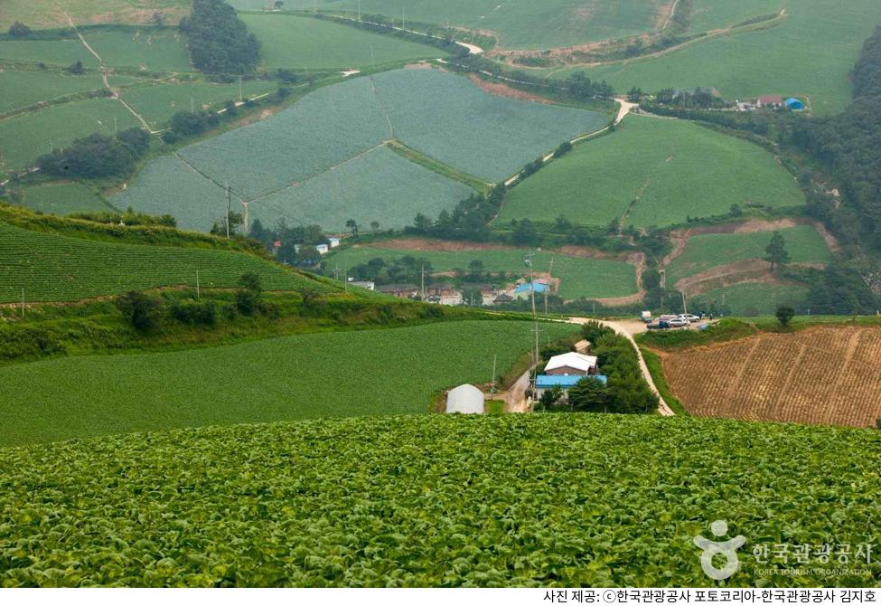 강릉 여행 코스 추천|안반데기 마을 은하수 별 감상, 주차장·차박·백패킹 준비물·최적 날씨 시기 정리 강릉 여행 코스 추천|안반데기 마을 은하수 별 감상, 주차장·차박·백패킹 준비물·최적 날씨 시기 정리