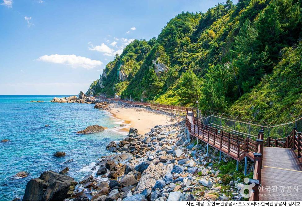 강릉 정동심곡 바다부채길 & 정동진 당일치기 코스｜해안길 길이·왕복 소요시간·대중교통·주차장 꿀팁