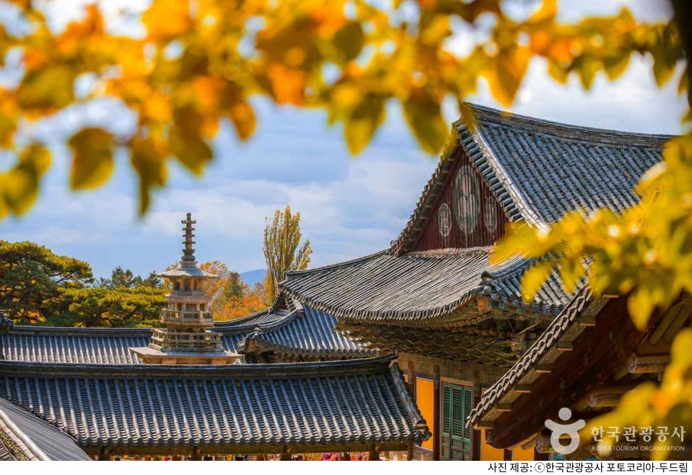 경주 불국사·석굴암 한 번에 둘러보는 당일치기 코스｜주차장 위치·입장료·셔틀버스 시간·소요시간·추천 동선 총정리