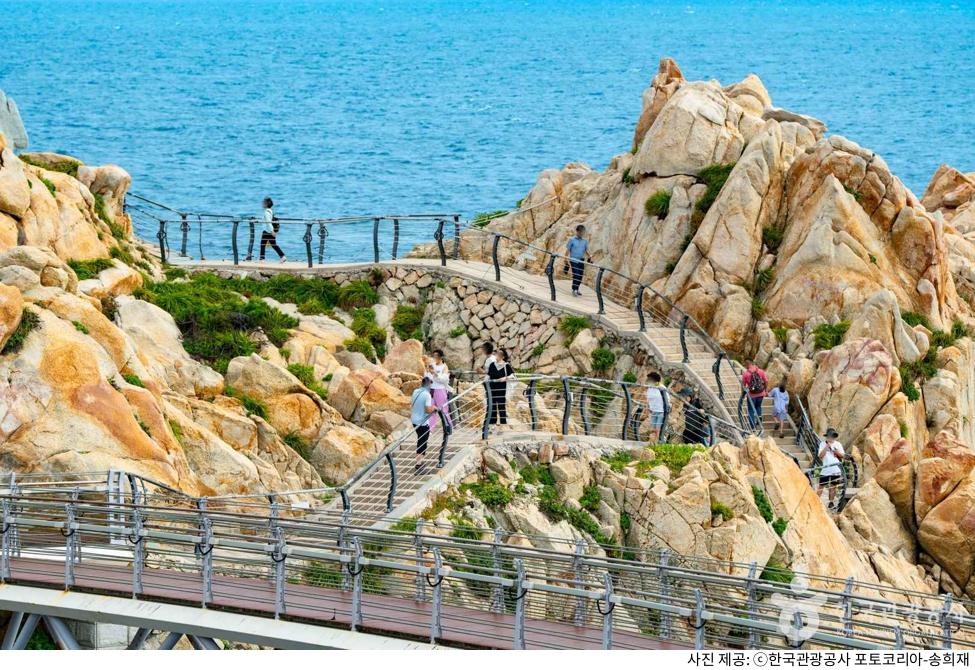 울산 여행 대왕암공원 나들이 코스 추천｜출렁다리 산책로부터 일출·단풍·야경 명소, 오토캠핑장·주차장·애견동반 정보 총정리