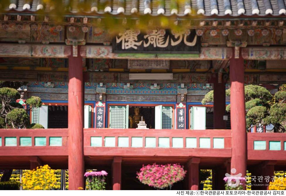 경기도 여주 나들이 추천 신륵사｜입장료·주차장·일출 시간·단풍 시기·템플스테이 가격과 예약 방법