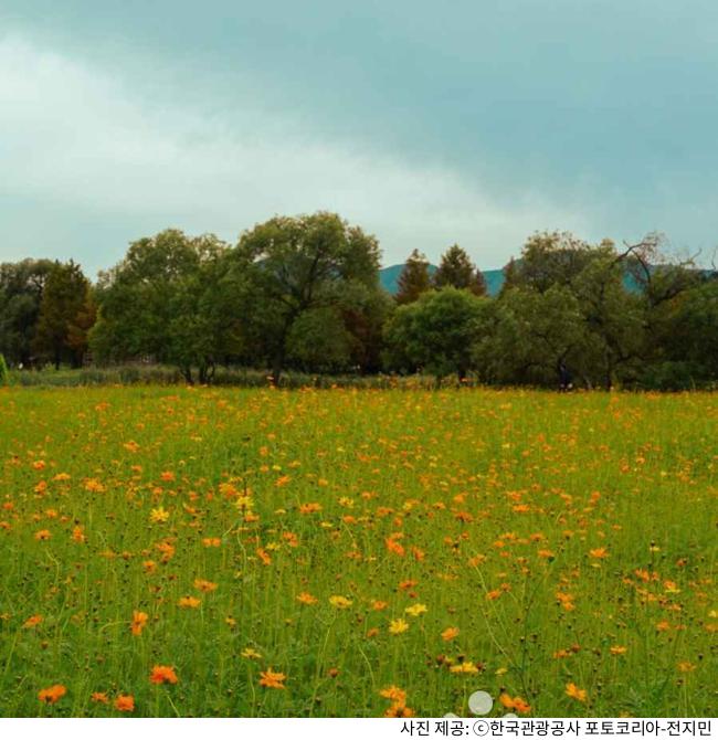 남양주 물의정원 겨울 해돋이 여행 코스|일출 명당·무료·유료 주차장·애견동반 산책 코스·유채꽃 시즌·자전거 대여 팁 남양주 물의정원 겨울 해돋이 여행 코스|일출 명당·무료·유료 주차장·애견동반 산책 코스·유채꽃 시즌·자전거 대여 팁