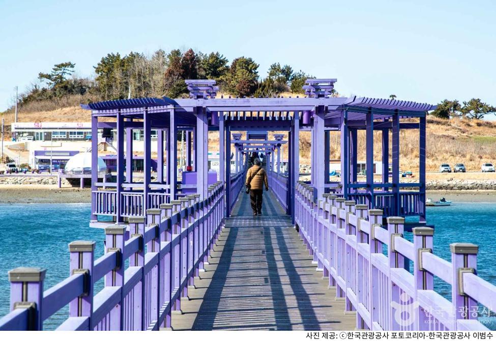 신안 가볼만한곳 퍼플섬 하루 코스 추천｜퍼플교 길이와 뷰포인트 및 가는길·입장료·주차장 꿀팁