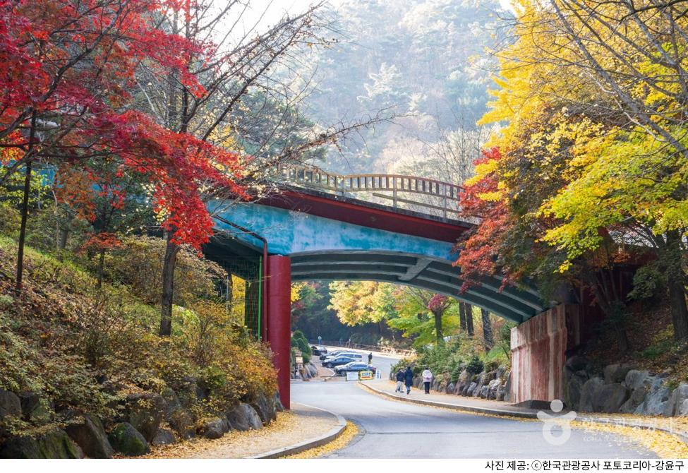 단양 여행 명소 구인사 가는길|단풍 시기·소요시간·버스 및 주차장 정보·천태종 템플스테이 가격 단양 여행 명소 구인사 가는길|단풍 시기·소요시간·버스 및 주차장 정보·천태종 템플스테이 가격