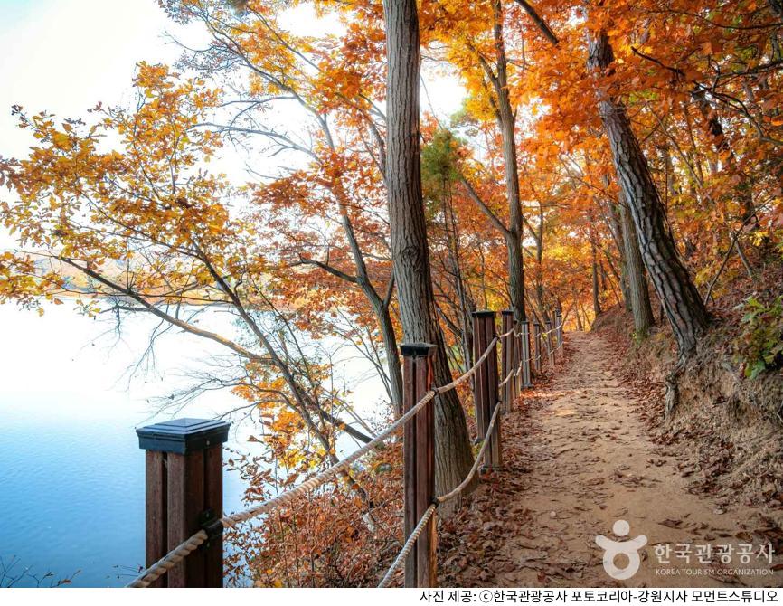 강원도 횡성호수길 5구간 단풍 명소｜드라이브 후 산책하기 좋은 주차 장소·이용 시간·입장료·반려견 동반 및 산책로 정리