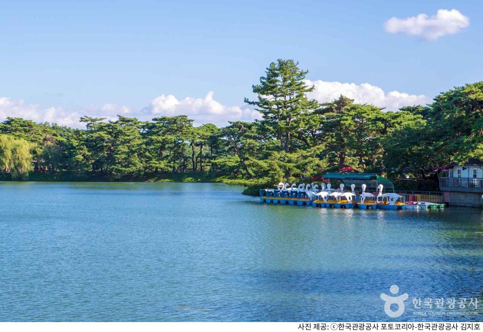 제천 의림지 용추폭포 산책 코스 총정리｜주차장 위치와 요금·야경 즐기기 좋은 시간·단풍 시기·둘레길 동선 체크