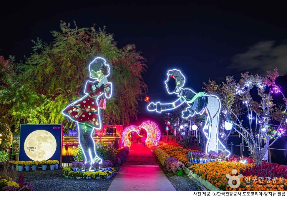 대구 가볼만한곳 옥연지 송해공원 야경 명소｜주차장 위치·둘레길 산책 코스·차박 정보