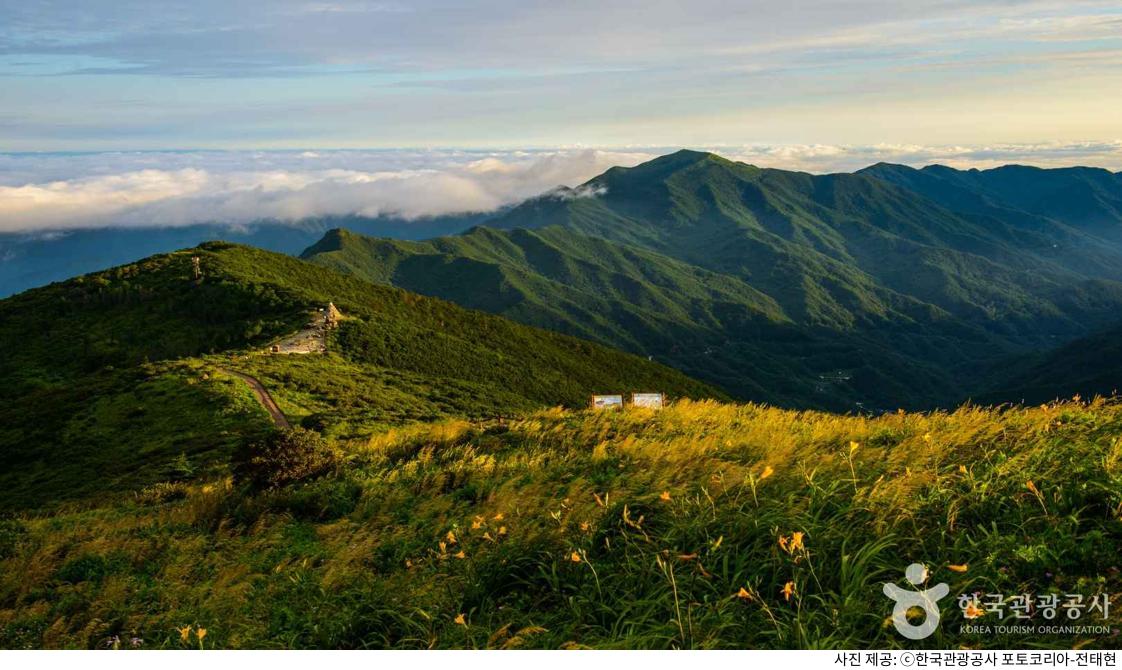 구례 명소 지리산 화엄사 주차장 위치·비용 정리｜가을 단풍 시즌 노고단 코스·템플스테이 예약 방법