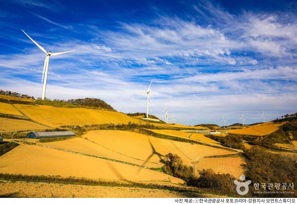 강릉 여행 코스 추천|안반데기 마을 은하수 별 감상, 주차장·차박·백패킹 준비물·최적 날씨 시기 정리 강릉 여행 코스 추천|안반데기 마을 은하수 별 감상, 주차장·차박·백패킹 준비물·최적 날씨 시기 정리