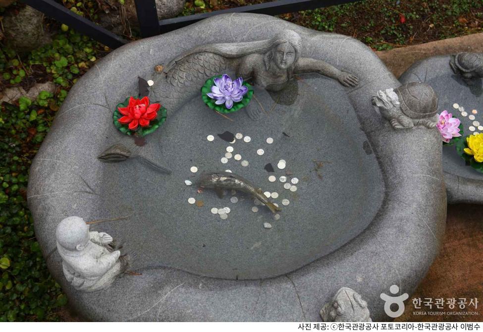 양양 휴휴암 물고기 방생 체험 및 일출 명소|주차장 위치·애견동반 가능 구역·입장료·관람 팁 총정리 양양 휴휴암 물고기 방생 체험 및 일출 명소|주차장 위치·애견동반 가능 구역·입장료·관람 팁 총정리