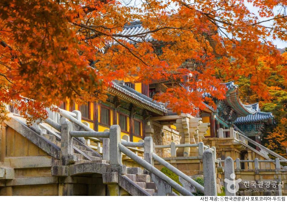경주 불국사·석굴암 한 번에 둘러보는 당일치기 코스｜주차장 위치·입장료·셔틀버스 시간·소요시간·추천 동선 총정리