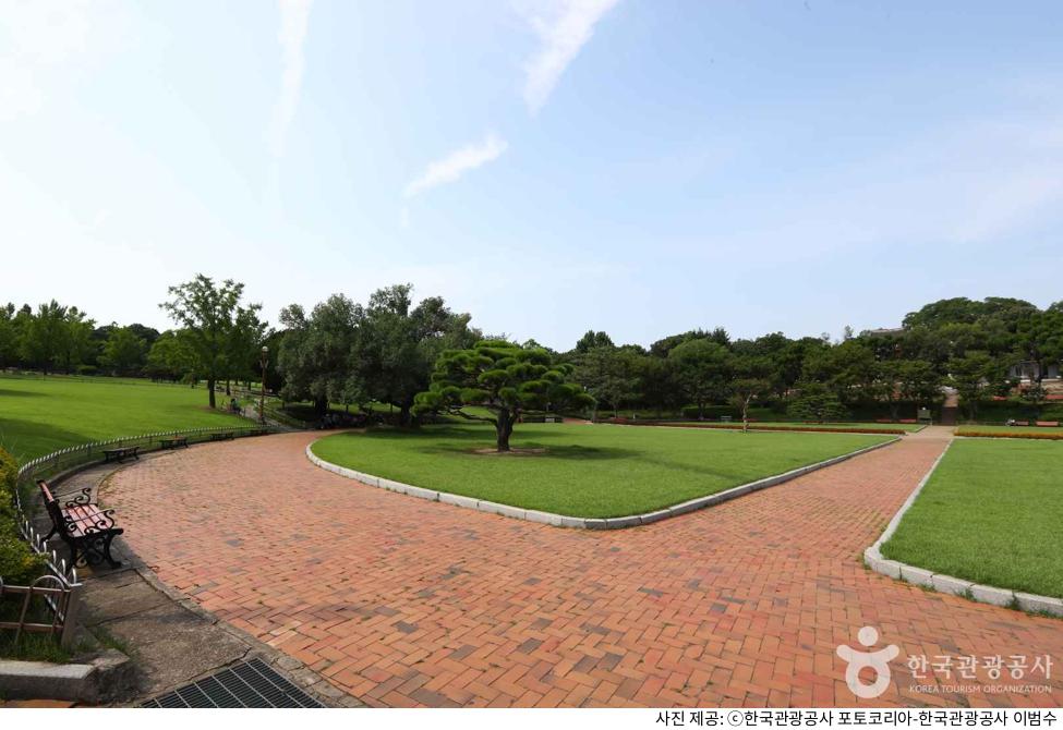 대구 달성공원 동물원 나들이 코스 추천｜코끼리 관람·무료 유료 주차장 정보·새벽시장·운영 시간