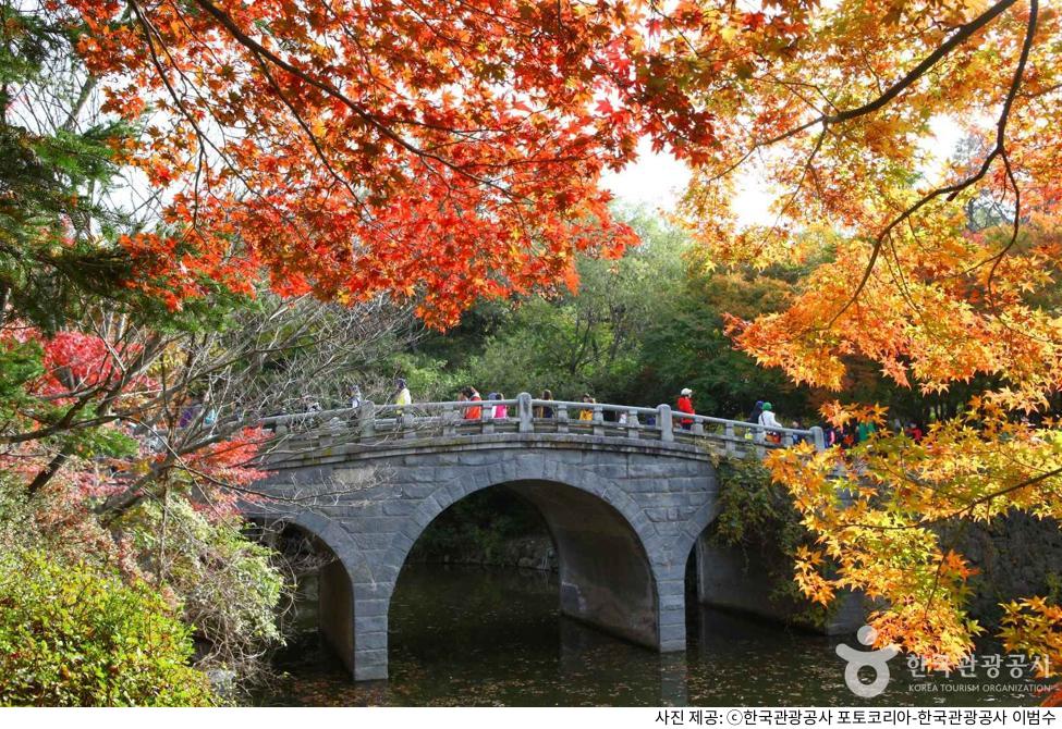 경주 불국사·석굴암 한 번에 둘러보는 당일치기 코스｜주차장 위치·입장료·셔틀버스 시간·소요시간·추천 동선 총정리