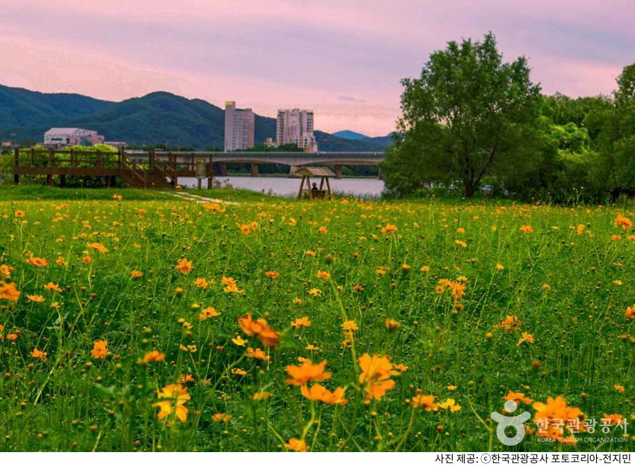 남양주 물의정원 겨울 해돋이 여행 코스|일출 명당·무료·유료 주차장·애견동반 산책 코스·유채꽃 시즌·자전거 대여 팁 남양주 물의정원 겨울 해돋이 여행 코스|일출 명당·무료·유료 주차장·애견동반 산책 코스·유채꽃 시즌·자전거 대여 팁