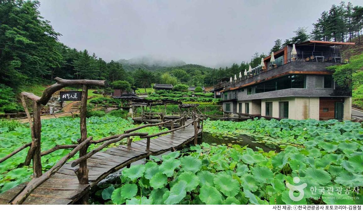 산청 수선사 가을 단풍 및 연꽃 명소｜애견동반 산책 코스·주차장 정보