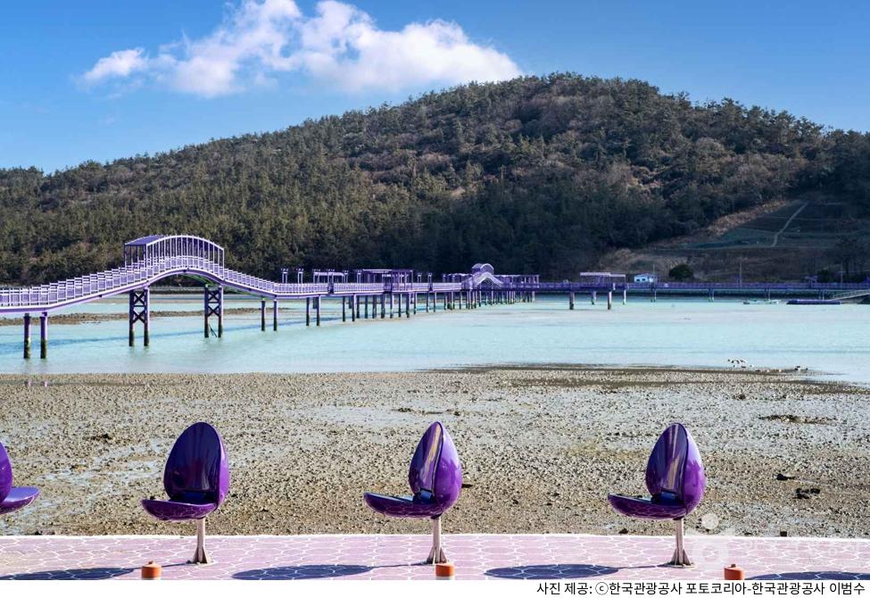 신안 가볼만한곳 퍼플섬 하루 코스 추천｜퍼플교 길이와 뷰포인트 및 가는길·입장료·주차장 꿀팁