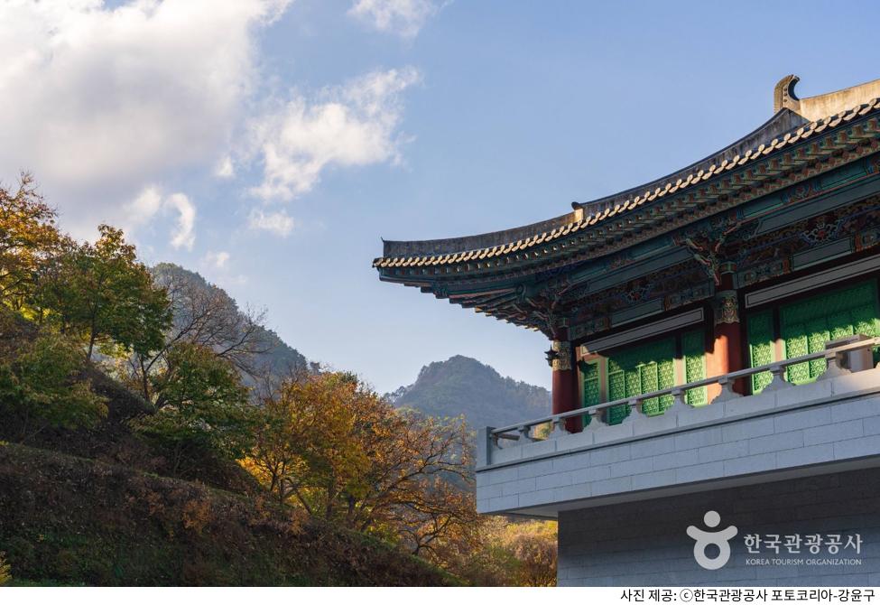 단양 여행 명소 구인사 가는길|단풍 시기·소요시간·버스 및 주차장 정보·천태종 템플스테이 가격 단양 여행 명소 구인사 가는길|단풍 시기·소요시간·버스 및 주차장 정보·천태종 템플스테이 가격